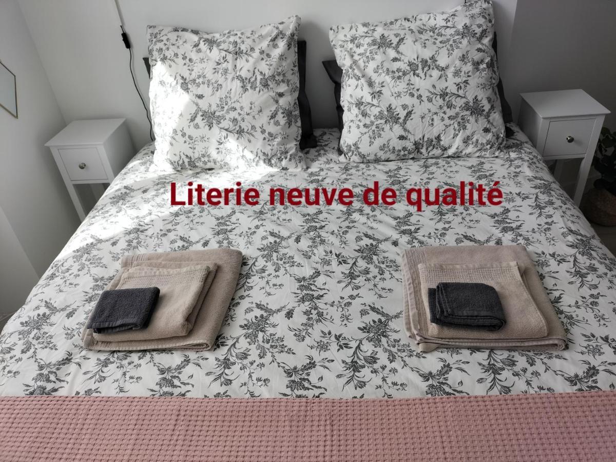 شقة Orleans Hypercentre Articles Fitness Et Bebe المظهر الخارجي الصورة